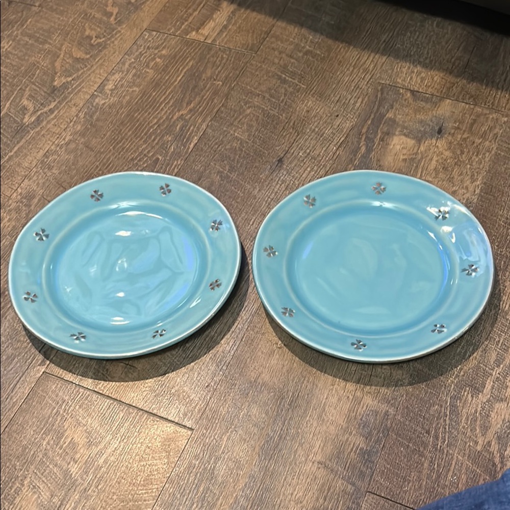 Pier 1 Tosco Lagoon Blue‎ 2 Salad or Desert Plates Embossed Flowers